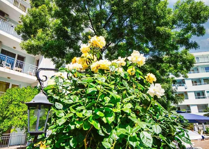 Yassen Holiday Village 3* Sunny Beach