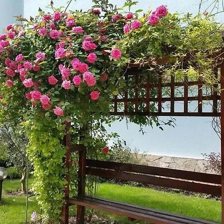 Yassen Holiday Village