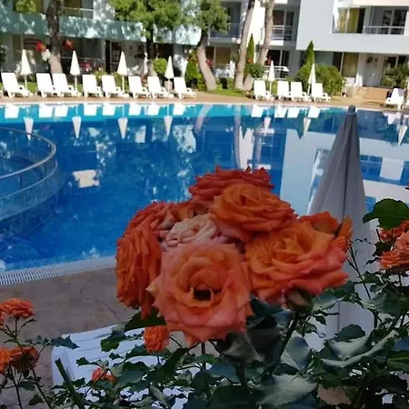 Yassen Village 3* ساني بيتش