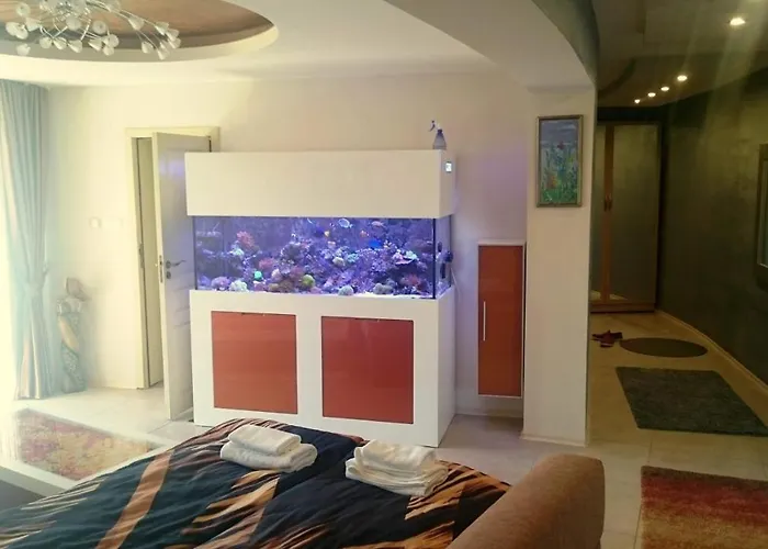 Yassen Village Sluneční pobřeží