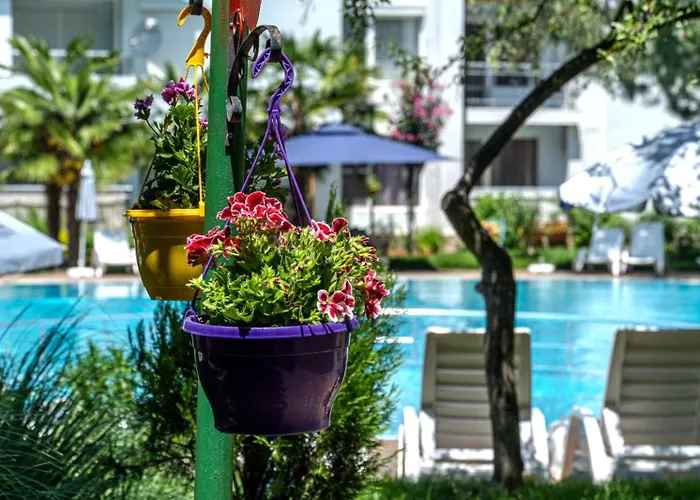 Yassen Village Aparthotel Sluneční pobřeží