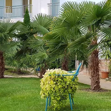Apartahotel Yassen Village
